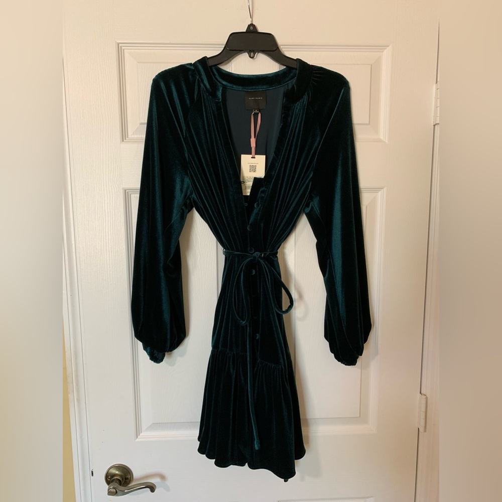 Alex Marie Dark Green Long Sleeve Dress